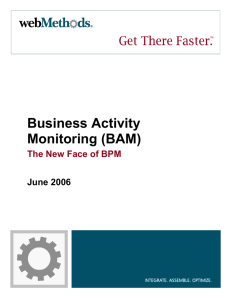 Business Activity Monitoring (BAM) The New Face of BPM.