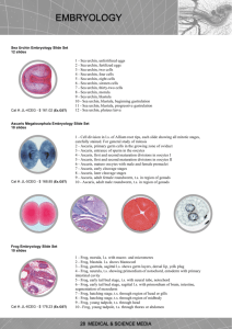 Embryology Slide Sets - Medical and Science Media