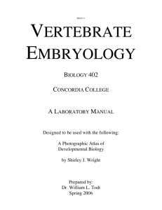 vertebrate embryology