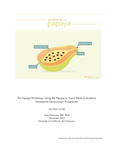 Papaya Workshop Facilitator Guide