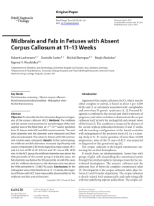 Midbrain and Falx in Fetuses with Absent Corpus Callosum at 11