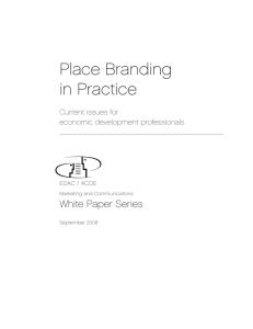 Place Branding in Practice