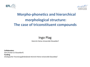 Morpho-phonetics and hierarchical morphological structure: The
