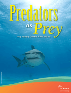 Predators as Prey