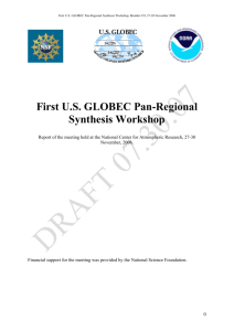First Pan-Regional Synthesis Workshop Report