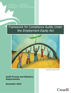 Framework for Compliance Audits Under the Employment Equity Act
