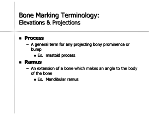 Bone Marking Terminology