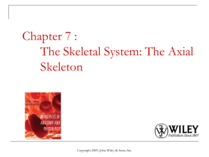 Chapter 7 : The Skeletal System: The Axial Skeleton