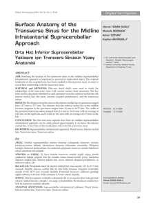 Surface Anatomy of the Transverse Sinus for the Midline