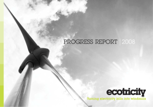 Progress Report 2008. - Turn your electricity bill into a windmill