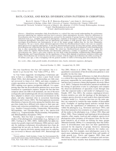 BATS, CLOCKS, AND ROCKS: DIVERSIFICATION PATTERNS IN