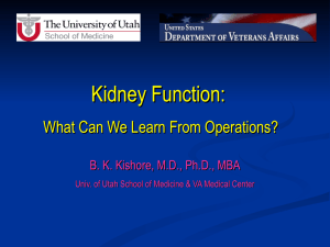 Kidney Function: