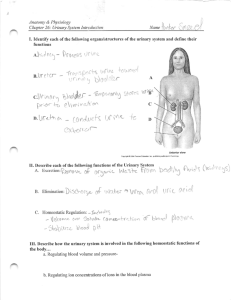 Chapter 26 Urinary System Homework ? Notes