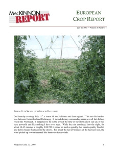 The MacKinnon Report 04-07