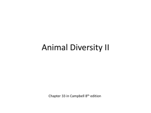 Animal Diversity II - School of Biological Sciences