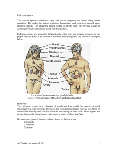 AAP/endocrine system/PJ-03 1 Endocrine system The nervous