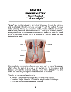 BCM 101 BIOCHEMISTRY BIOCHEMISTRY “Urine analysis”