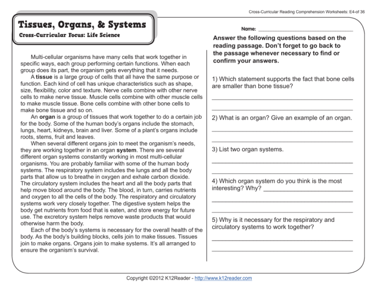 5th Grade Reading Comprehension Worksheets Fifth