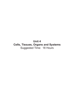 Unit 4: Cells, Tissue, Organs, and Systems