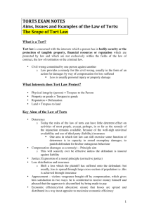 TORTS EXAM NOTES Aims, Issues and Examples of the Law of