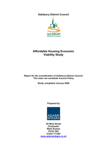 Affordable Housing Economic Viability Study