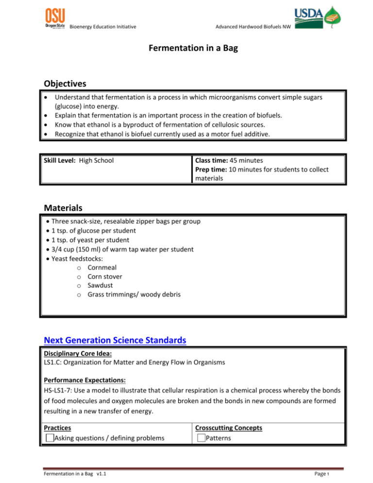 Fermentation In A Bag Lab Answers