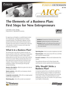 The Elements of a Business Plan
