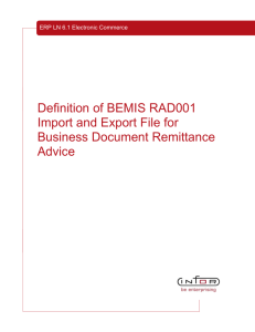 Definition of BEMIS RAD001 Import and Export File for Business