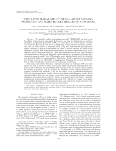 tree layer spatial structure can affect savanna production and water