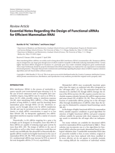 Essential Notes Regarding the Design of Functional siRNAs for