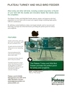 plateau turkey and wild bird feeder