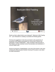 Backyard Bird Feeding - Cornell Lab of Ornithology