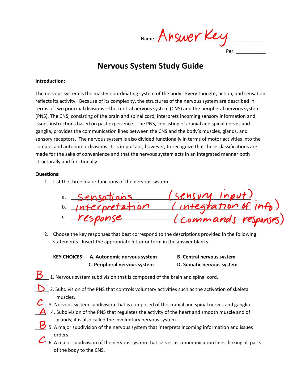 Nervous System Study Guide