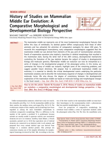 History of Studies on Mammalian Middle Ear Evolution: A