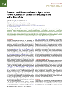 Forward and Reverse Genetic Approaches for the Analysis of