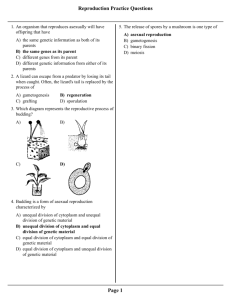 Reproduction Practice Questions Page 1