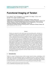 Functional Imaging of Tendon