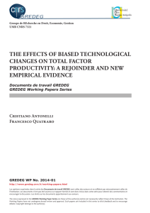 the effects of biased technological changes on total factor productivity