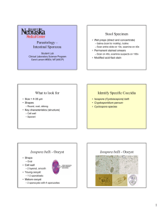 Parasitology – Intestinal Sporozoa Stool Specimen What to look for