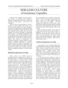 Soilless Culture of Greenhouse Vegetables