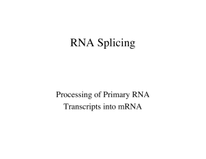RNA Process Lec 24 Tjian - Molecular and Cell Biology