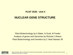 4. Nuclear Gene Structure and Expression