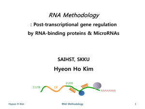 RNA-Binding Proteins