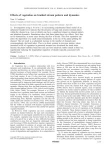 Effects of vegetation on braided stream pattern and