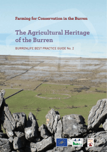 Farming for Conservation in the Burren