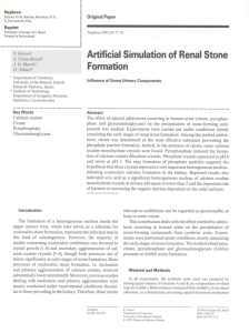 Artificial Simulation of Renal Stone Formation