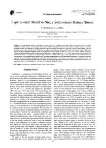 Experimental Model to Study Sedimentary Kidney Stones