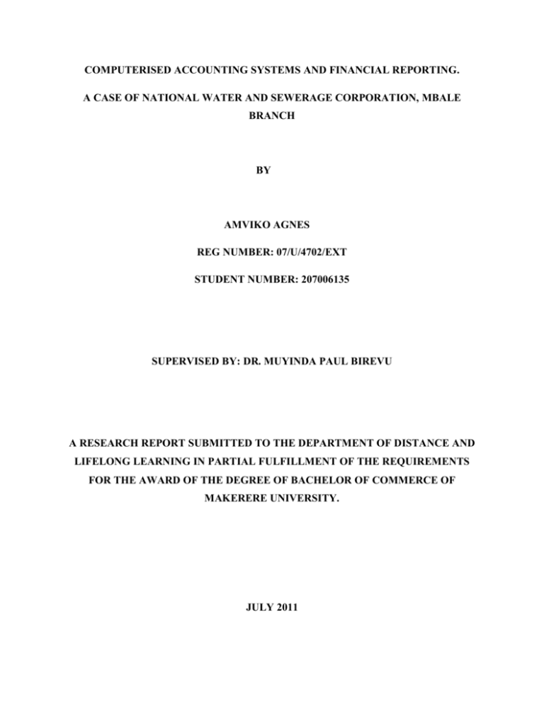 computerised accounting system and financial reporting thesis