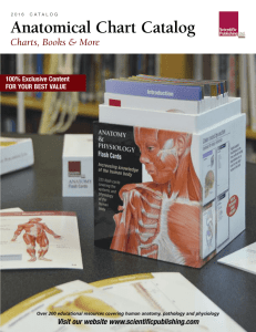 Anatomical Chart Catalog - Scientific Publishing Ltd.