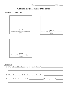 Cheek & Elodea Cell Lab Data Sheet